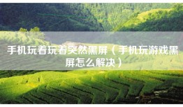 手机玩着玩着突然黑屏（手机玩游戏黑屏怎么解决）