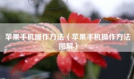 苹果手机操作方法（苹果手机操作方法图解）
