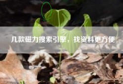几款磁力搜索引擎，找资料更方便