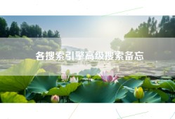 各搜索引擎高级搜索备忘