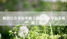 微信公众平台手机（微信公众平台手机端）