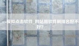 seo模拟点击软件_网站用软件刷排名好不好？