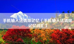 手机输入法清除记忆（手机输入法清除记忆词汇）