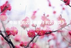 电脑手机店（电脑手机店内景）