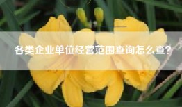各类企业单位经营范围查询怎么查？