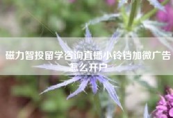 磁力智投留学咨询直播小铃铛加微广告怎么开户