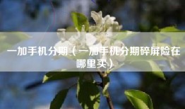 一加手机分期（一加手机分期碎屏险在哪里买）