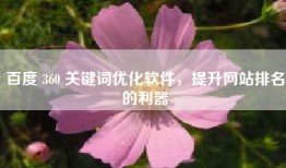 百度 360 关键词优化软件，提升网站排名的利器