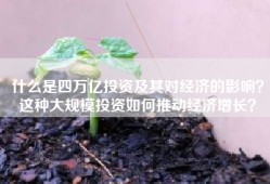 什么是四万亿投资及其对经济的影响？这种大规模投资如何推动经济增长？