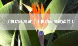 手机功耗测试（手机功耗测试软件）
