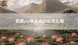 百度php推送成功后怎么看