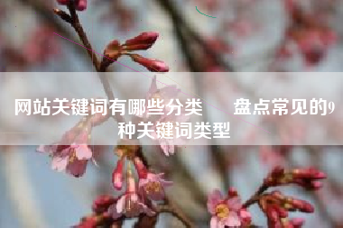 网站关键词有哪些分类 – 盘点常见的9种关键词类型