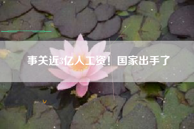 事关近3亿人工资！国家出手了