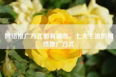 网络推广方式都有哪些，七大主流的网络推广方式