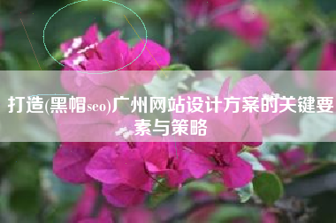 打造(黑帽seo)广州网站设计方案的关键要素与策略