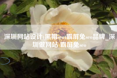 深圳网站设计(黑帽seo)霸屏兔seo品牌_深圳做网站 霸屏兔seo