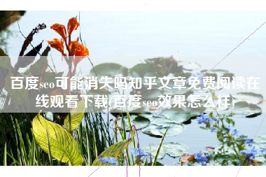 百度seo可能消失吗知乎文章免费阅读在线观看下载(百度seo效果怎么样)