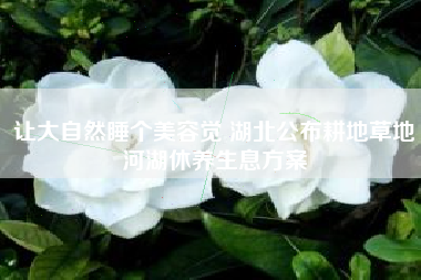让大自然睡个美容觉 湖北公布耕地草地河湖休养生息方案
