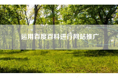 运用百度百科进行网站推广 运用百度百科进行网站推广