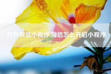打开微信小程序,微信怎么开启小程序