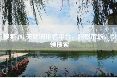 搜狗 PC 关键词排名平台，洞察市场，引领搜索