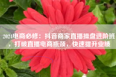 2024电商必修：抖音商家直播操盘进阶班，打破直播电商瓶颈，快速提升业绩