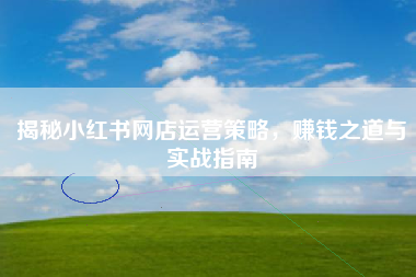 揭秘小红书网店运营策略，赚钱之道与实战指南