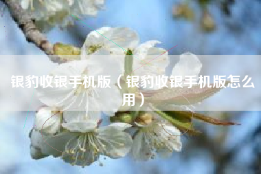 银豹收银手机版（银豹收银手机版怎么用）