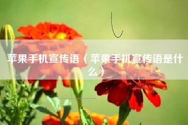 苹果手机宣传语（苹果手机宣传语是什么）
