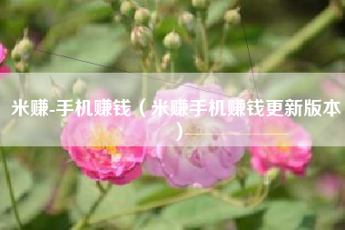 米赚-手机赚钱（米赚手机赚钱更新版本）
