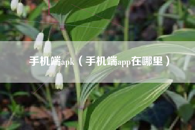 手机端apk（手机端app在哪里）