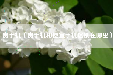 贵手机（贵手机和便宜手机区别在哪里）