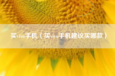 买vivo手机（买vivo手机建议买哪款）