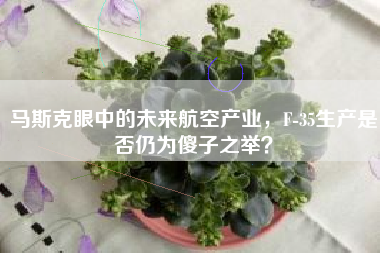 马斯克眼中的未来航空产业，F-35生产是否仍为傻子之举？