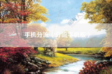 手机分流（分流手机版）