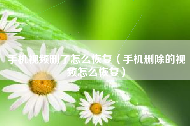 手机视频删了怎么恢复（手机删除的视频怎么恢复）