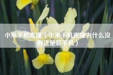 小米手机克隆（小米手机克隆为什么没有这是新手机）