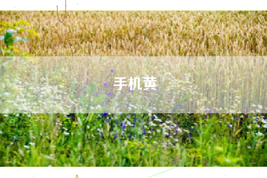 手机黄