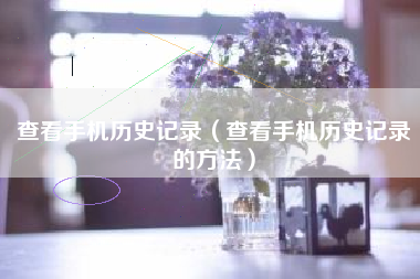 查看手机历史记录（查看手机历史记录的方法）