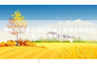 手机视频怎么消除声音（苹果手机视频怎么消除声音）