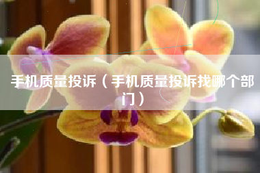 手机质量投诉（手机质量投诉找哪个部门）