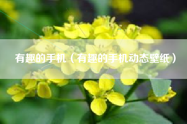 有趣的手机（有趣的手机动态壁纸）