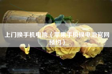 上门换手机电池（苹果手机换电池官网预约）