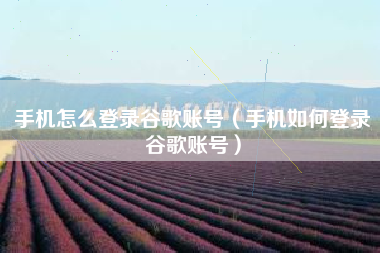手机怎么登录谷歌账号（手机如何登录谷歌账号）