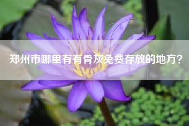郑州市哪里有有骨灰免费存放的地方？