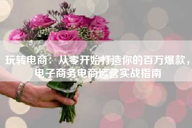 玩转电商：从零开始打造你的百万爆款，电子商务电商运营实战指南