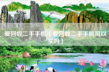 爱回收二手手机（爱回收二手手机可以买吗）