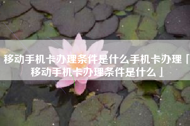 移动手机卡办理条件是什么手机卡办理「移动手机卡办理条件是什么」